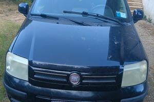 privato panda