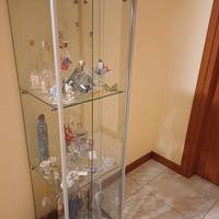 vetrinetta completa di collezione grappe 