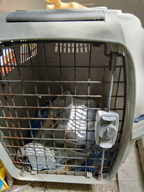 Trasportino e cuccia