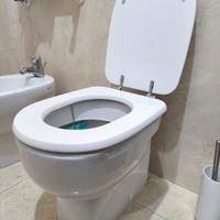 WC Pozzi Ginori regalato