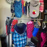 Stock articoli per animali nuovi