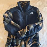 The North Face Denali Jacket 2
