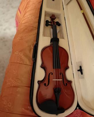 Violino con custodia