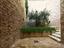 Immagine 15