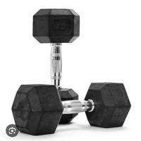 Manubri palestra dumbells