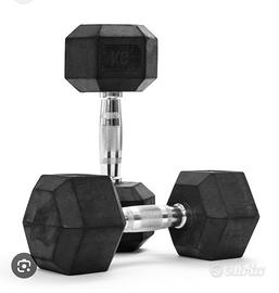 Manubri palestra dumbells