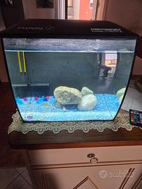 acquario fluval 