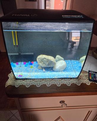 acquario fluval 