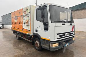Iveco Eurocargo 65E15 Surgelati -30°C con Piastre 