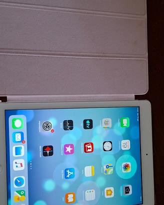iPad – TENUTO BENISSIMO!