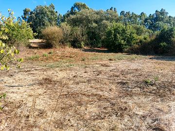 Terreno agricolo in buona posizione