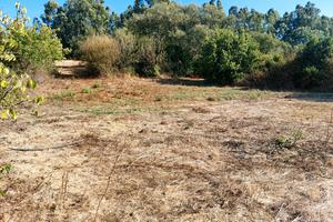 Terreno agricolo in buona posizione