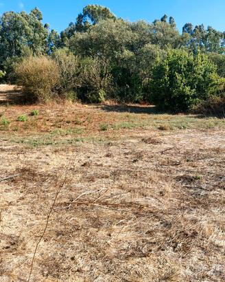 Terreno agricolo in buona posizione