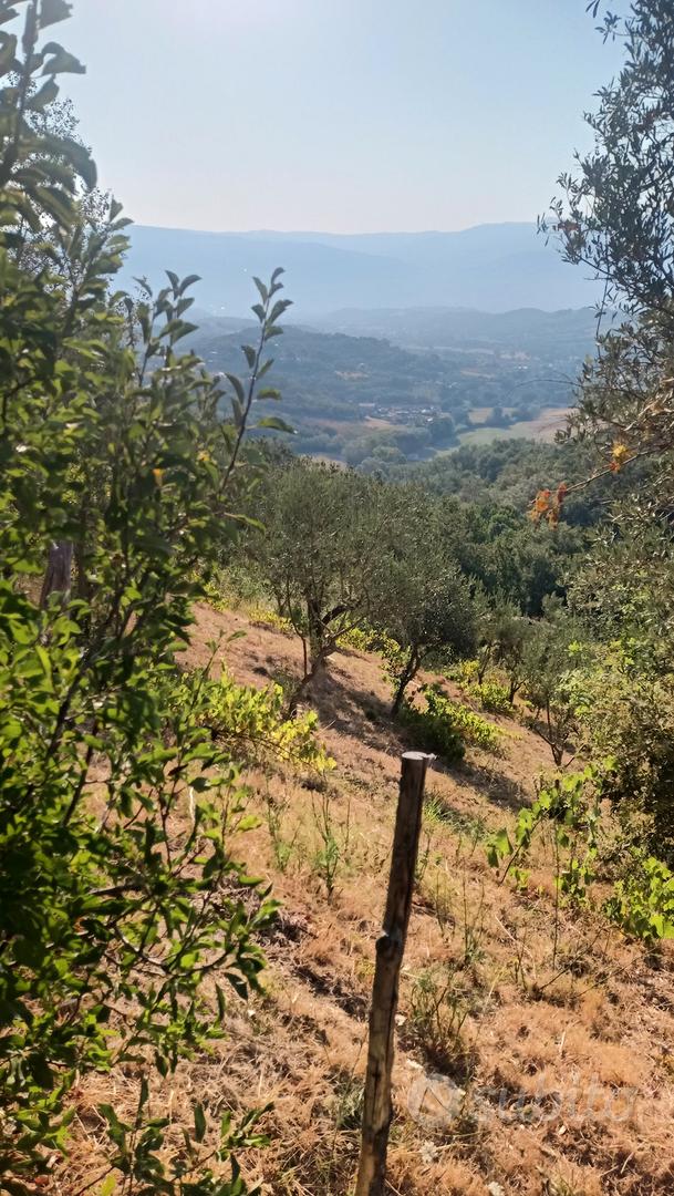 Terreno agricolo - Vista 3
