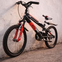 Bicicletta per bambini 