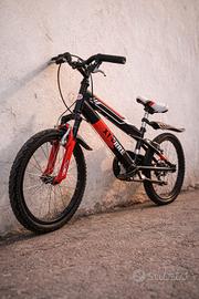 Bicicletta per bambini 