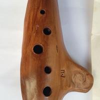 Ocarina melodiosa