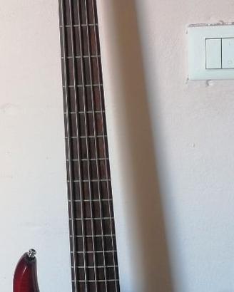  basso MTD Kingston Heir 5