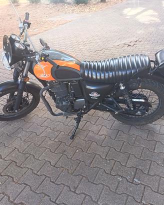 Mash Scrambler 400