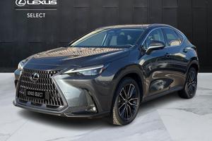 Lexus NX Plug-in 4WD Luxury