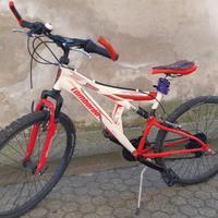 Mountain bike