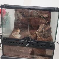 Terrario 30x30x30 cm exoterra 