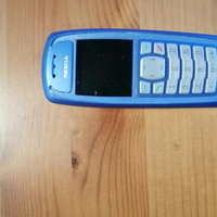 Nokia 3100
