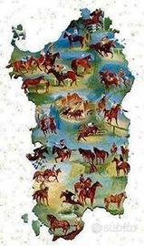 Settori attività equestri in varie coste Sarde