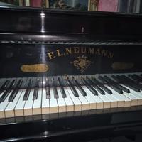 Splendido pianoforte a coda