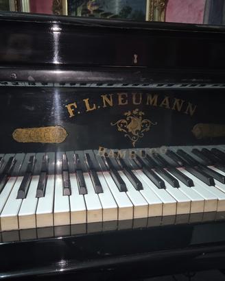 Splendido pianoforte a coda