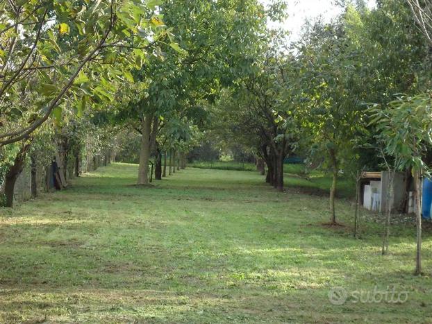 Terreno agricolo pianeggiante