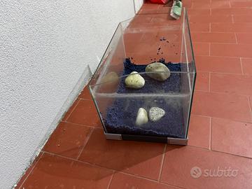 Acquario 24 litri