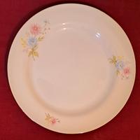 Porcellana piatto vintage Richard Ginori