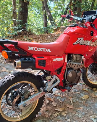 Honda Dominator 