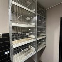 Gabbie cova 65 cm nido interno