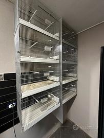 Gabbie cova 65 cm nido interno