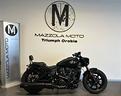 indian-scout-bobber