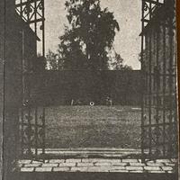 Guida del Museo di Auschwitz