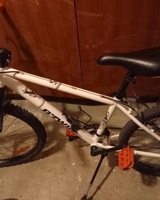 Mountain bike 20'x