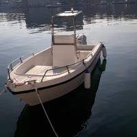 Barca murena con motore 40 cv