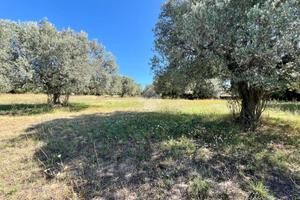 TERRENO A MOSCIANO SANT'ANGELO