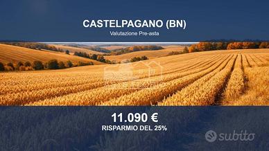 Immobile in asta di 63744 m² a Castelpagano