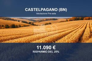 Immobile in asta di 63744 m² a Castelpagano