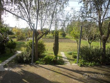 Terreno con fabbricato pressi olmedo