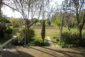 Terreno con fabbricato pressi olmedo