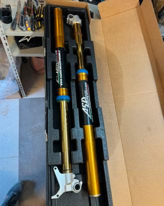 forcelle ohlins