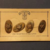 Gemelli Regia Aeronautica 