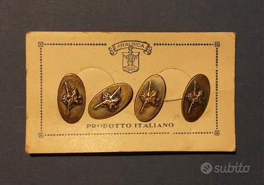 Gemelli Regia Aeronautica 