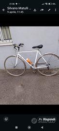 bicicletta uomo