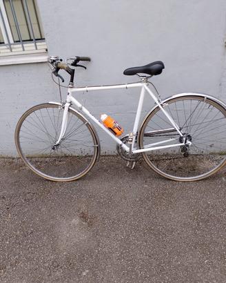 bicicletta uomo
